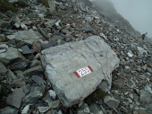 83  Sentiero 255, via 'normale' al Pizzo Poris...